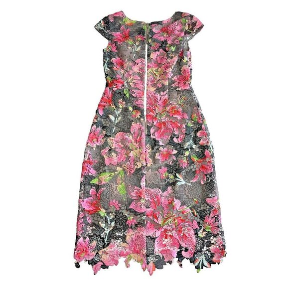 J. Peterman Pink Gray Lace Chromatic Dress Floral Medi Zip UP  Women’s Size 4 - Picture 2 of 11